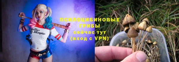 тгк Богданович