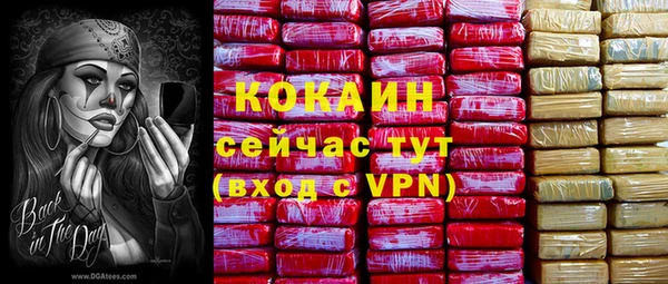 тгк Богданович