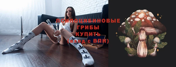 тгк Богданович