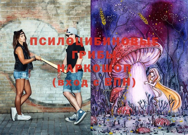 тгк Богданович