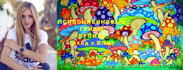 Альфа ПВП Богородицк