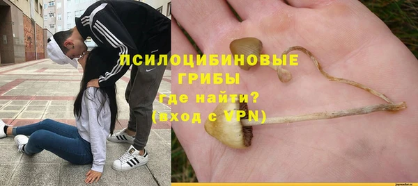 бошки Богородск