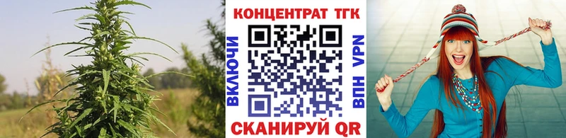где продают Хотьково ТГК концентрат